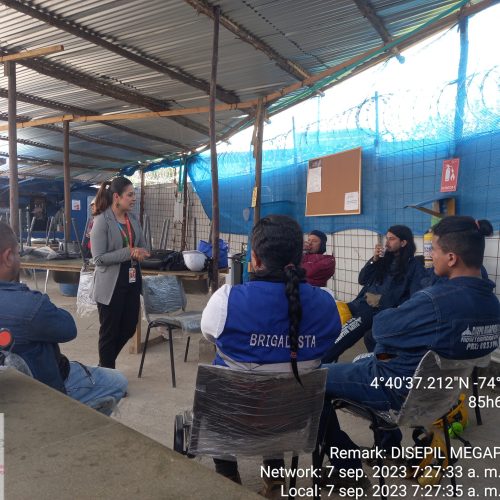 DISEPIL MEGAPRESS S.A.S