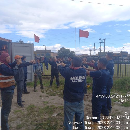 DISEPIL MEGAPRESS S.A.S